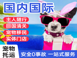 太平航空邮寄国际宠物托运 【国